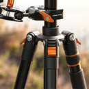 K&F Multi-Functional Super Camera Clamp with Ballhead Magic Arm MS13