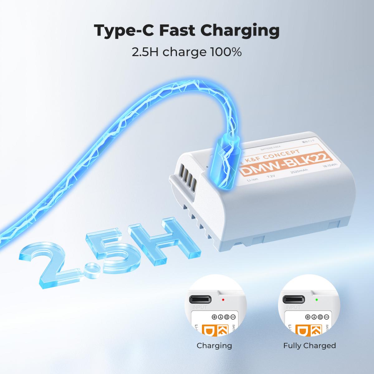 K&F Concept DMW-BLK22 2520mAh USB-C Battery for Panasonic