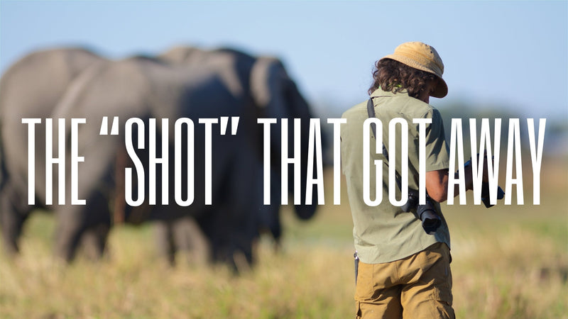 Top 3 Camera Bag Essentials for Every Photography Adventure