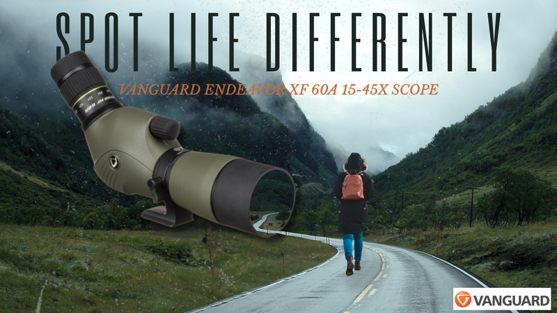 My Accidental Stakeout with the Vanguard Endeavor XF 60A Scope