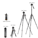 K&F Concept PRO K234A0 Magnalium Tripod for Camera, Mobile Phone & Video  KF09.115