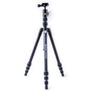 Vanguard Vesta TB 204AB Alu Travel Tripod with Arca Swiss T- 46 Ball Head