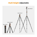 K&F Concept 2.3m Fluid Head Video Tripod with Monopod KF09-137