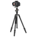 Vanguard Vesta GO 234CB Carbon Fiber Travel Tripod with VEO BH-50 Ball Head