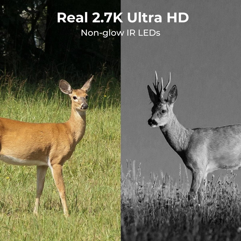 K&F 4MB, 2.7K Hi-Def Wildlife Camera 4G/LTE Night Vision with Solar Battery