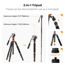 K&F Concept Omni Series 1.7m Lightweight Carbon Fibre Tripod | Hydraulic Video Head & Monopod Conversion – O255C4