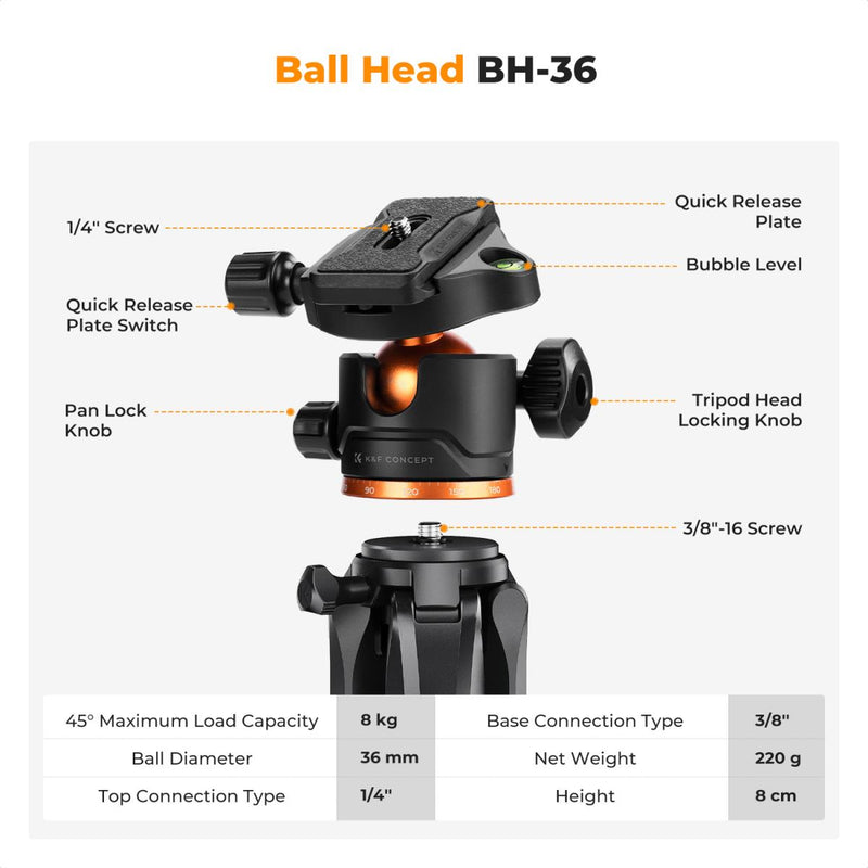 K&F Concept Smart Lightweight Camera & Phone Tripod | Ultimate Stability 8kg Load Capacity – S255A3+B-Head, Black