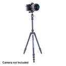 Vanguard Vesta TB 204AB Alu Travel Tripod with Arca Swiss T- 46 Ball Head
