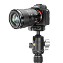 Vanguard BH-50 Aluminium Ball Head with QS-45H Quick Release Plate