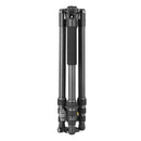 Vanguard Vesta GO 234CB Carbon Fiber Travel Tripod with VEO BH-50 Ball Head