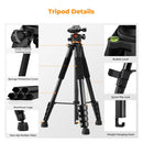 K&F Concept Smart Lightweight Camera & Phone Tripod | Ultimate Stability 8kg Load Capacity – S255A3+B-Head, Black