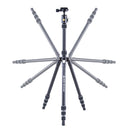 Vanguard Vesta TB 204AB Alu Travel Tripod with Arca Swiss T- 46 Ball Head