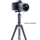 Vanguard Vesta TB 204AB Alu Travel Tripod with Arca Swiss T- 46 Ball Head