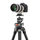 Vanguard VEO 5+263CLBS Carbon Fibre MACC Tripod with LB-50S Ball Head