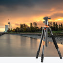K&F Concept SA284C1 Professional Carbon Fibre Tripod 10Kg Capacity Monopod Conversion KF09-095