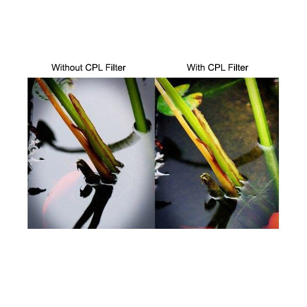 Gloxy 58mm Ultra Thin Professional Multicoated HD Circular Polarizer (CPL) Filter - DI3964